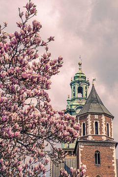 Frühling in Krakau, Polen von Nynke Nicolai