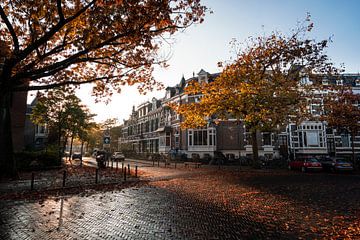 Herfstkleuren in Nijmegen van Luc van der Krabben