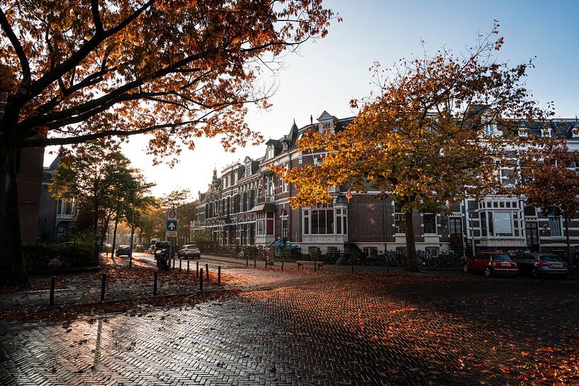 Herbstfarben in Nijmegen von Luc van der Krabben