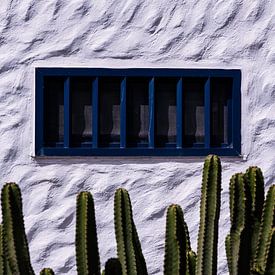 Cactus (2) sur Jan van Bizar