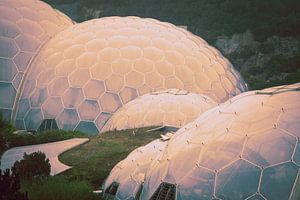 Eden Project