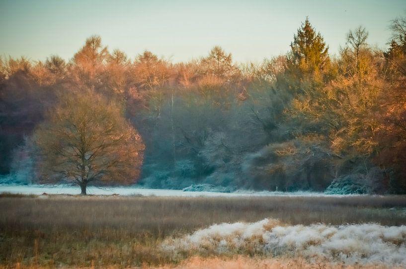 Gefrorene Abendsonne 3. Golden Hour Winter. von Through Kristels Lens