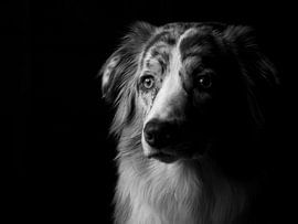 Silence in the dark by Yvonne Hulzebos