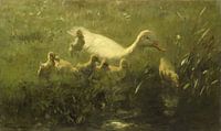 Weiße Ente mit Küken, Willem Maris von Meisterhafte Meister Miniaturansicht