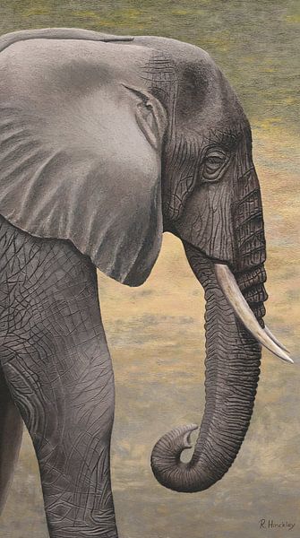 Elefant III ( Elefant III ) von Russell Hinckley