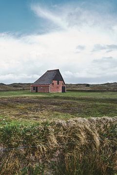 Sheep pen texel by Robbert Frie