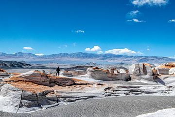 Campo de Piedra Pomez dans la Puna, Argentine.