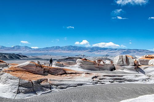 Campo de Piedra Pomez in de Puna, Argentinië.
