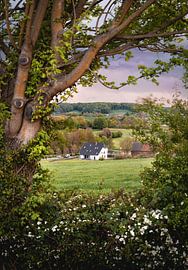Schöne Aussicht auf die Hügellandschaft in Südlimburg von Elles van der Veen