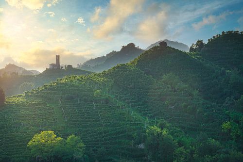 Collines du Prosecco, vignobles et église San Lorenzo. L'Italie