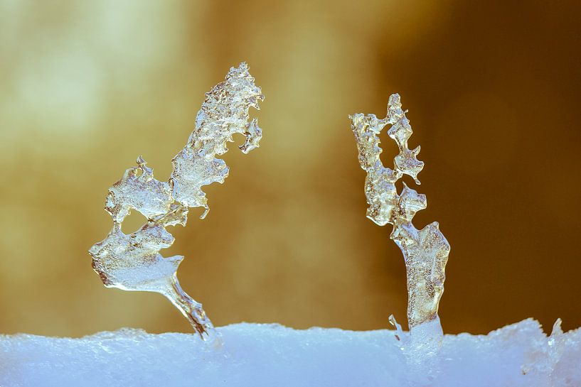 IJskristallen van Petra Brouwer
