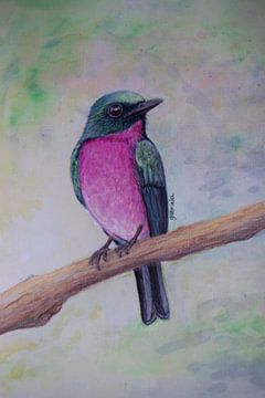Vogel roze en groen op tak van Gabriela Brakenhoff