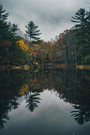 Autumnal reflections on the lake by Poster Art Shop