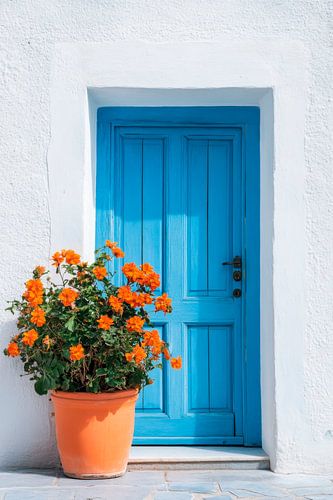 Blaue Tür Blütenpracht