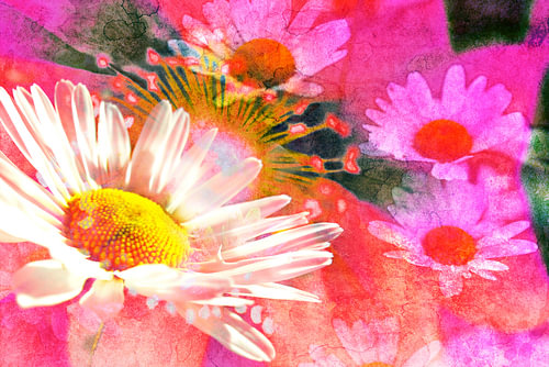 flowerPower