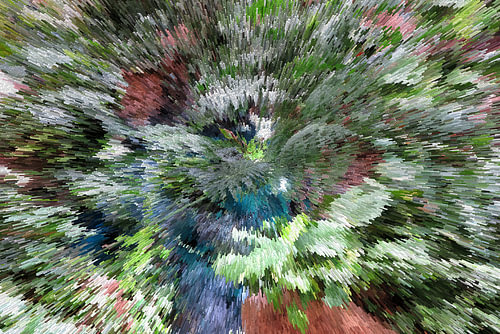 Digital art