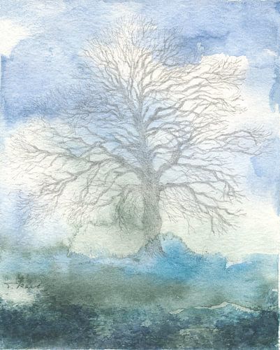 Arbre d'hiver le matin