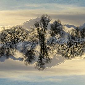 gespiegelte Wolkenlandschaft von Jannie Looge