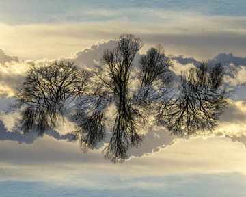 gespiegeld wolkenlandschap van Jannie Looge