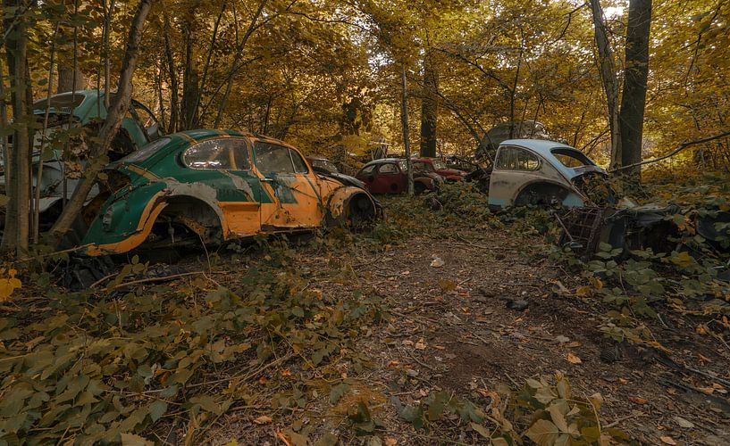 VW bugs by romario rondelez