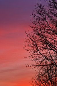 Abendrot!