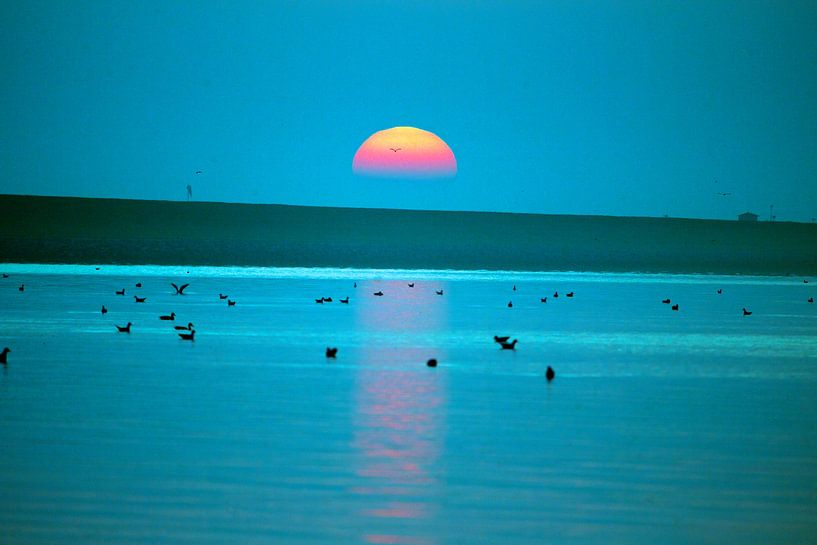 Zonsopkomst op Schiermonnikoog par Ronald Wilfred Jansen