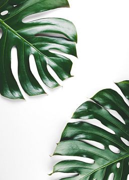 Greens