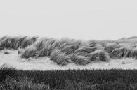 Black and white dunes in the Westduinpark in Scheveningen by Anne Zwagers thumbnail