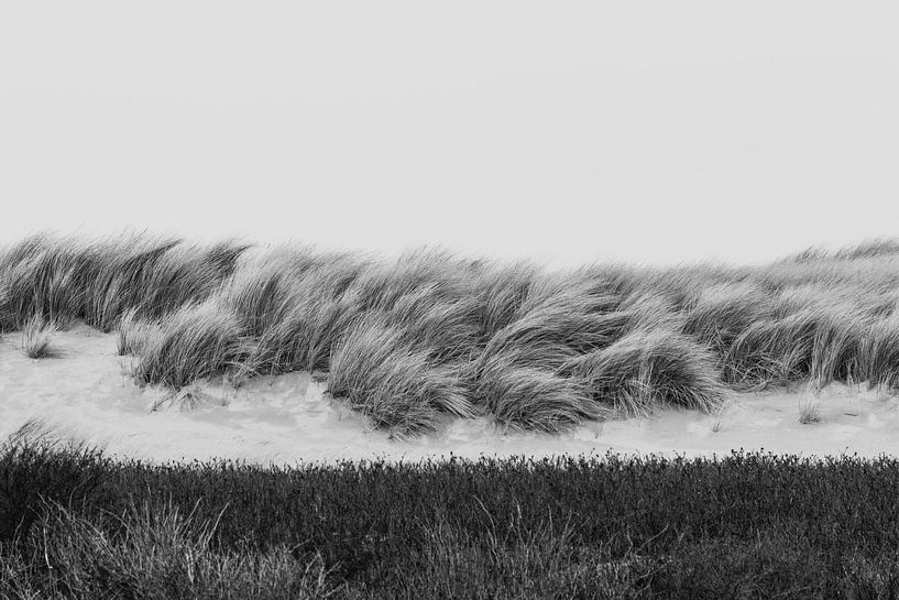 Black and white dunes in the Westduinpark in Scheveningen by Anne Zwagers