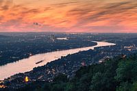 THE RHINE 10