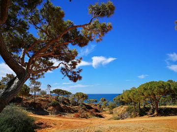 Algarve finest von Marc Struik