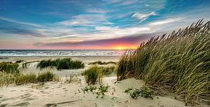 Paal 15 Düne Sonnenuntergang - Texel von Texel360Fotografie Richard Heerschap