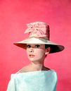 Audrey Hepburn in "Funny Face" (Lustiges Gesicht) von Bridgeman Images Miniaturansicht