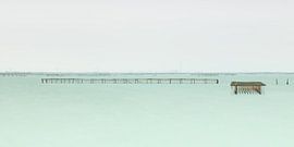 Fishermen's nets by Marieke Feenstra