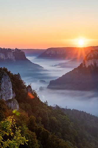 Zonsopgang in het natuurpark van de Boven-Donau