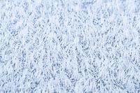De magie van de vorst, abstracte winterse rijp van dichtbij