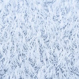 De magie van de vorst, abstracte winterse rijp van dichtbij van Christiaan Poot
