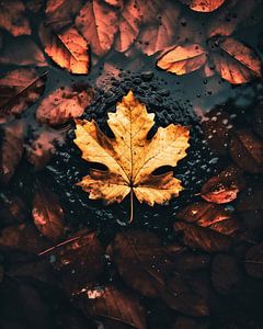 Herbststimmung