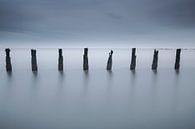 Pfähle am Wattenmeer. von AGAMI Photo Agency Miniaturansicht