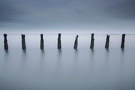 Pfähle am Wattenmeer.