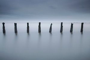 Pfähle am Wattenmeer.