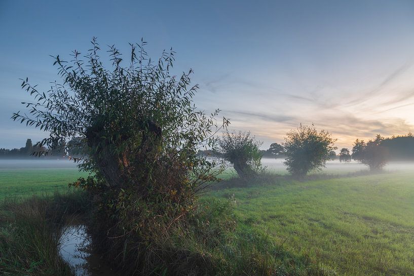 rising fog over the landscape by Meindert Marinus