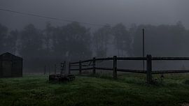 Nebel und Dämmerung