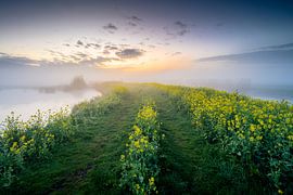 Nebliger Sonnenuntergang von Max ter Burg Fotografie