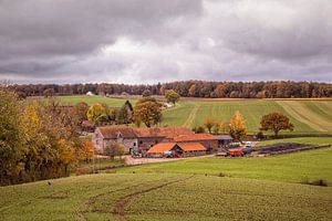 Herbst in Vijlen