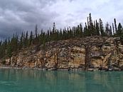 Rotswand op de Athabasca rivier van Timon Schneider thumbnail