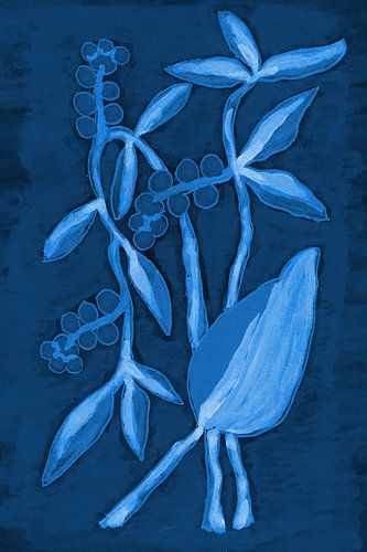 Zaaddoos 1 Deep Blue