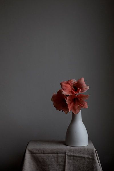 Still life flowering Amaryllis by Lilian Bisschop