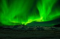 Island Aurora Borealis, Nordlichter von Gert Hilbink Miniaturansicht