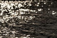 Nature sparkles